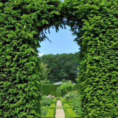 Takshæk - En elegant og hårdfør hæk til haven